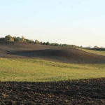 2010-10-18 069