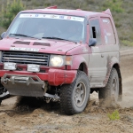 Auzins